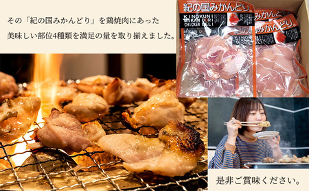 紀の国みかんどり 鶏 焼肉 セット【焼肉セット 焼鳥 焼き鳥 焼き肉】_DO6002n