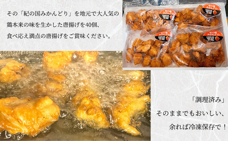紀の国みかんどり 特選 唐揚げ【からあげ 鶏から 冷蔵 チルド 惣菜 弁当 おかず】_DO6004n