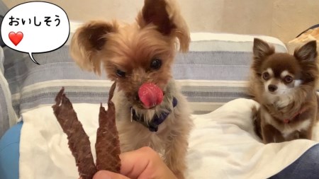 FB111_犬の無添加おやつ☆エミュージャーキー＆チキンジャーキーお試し各1個