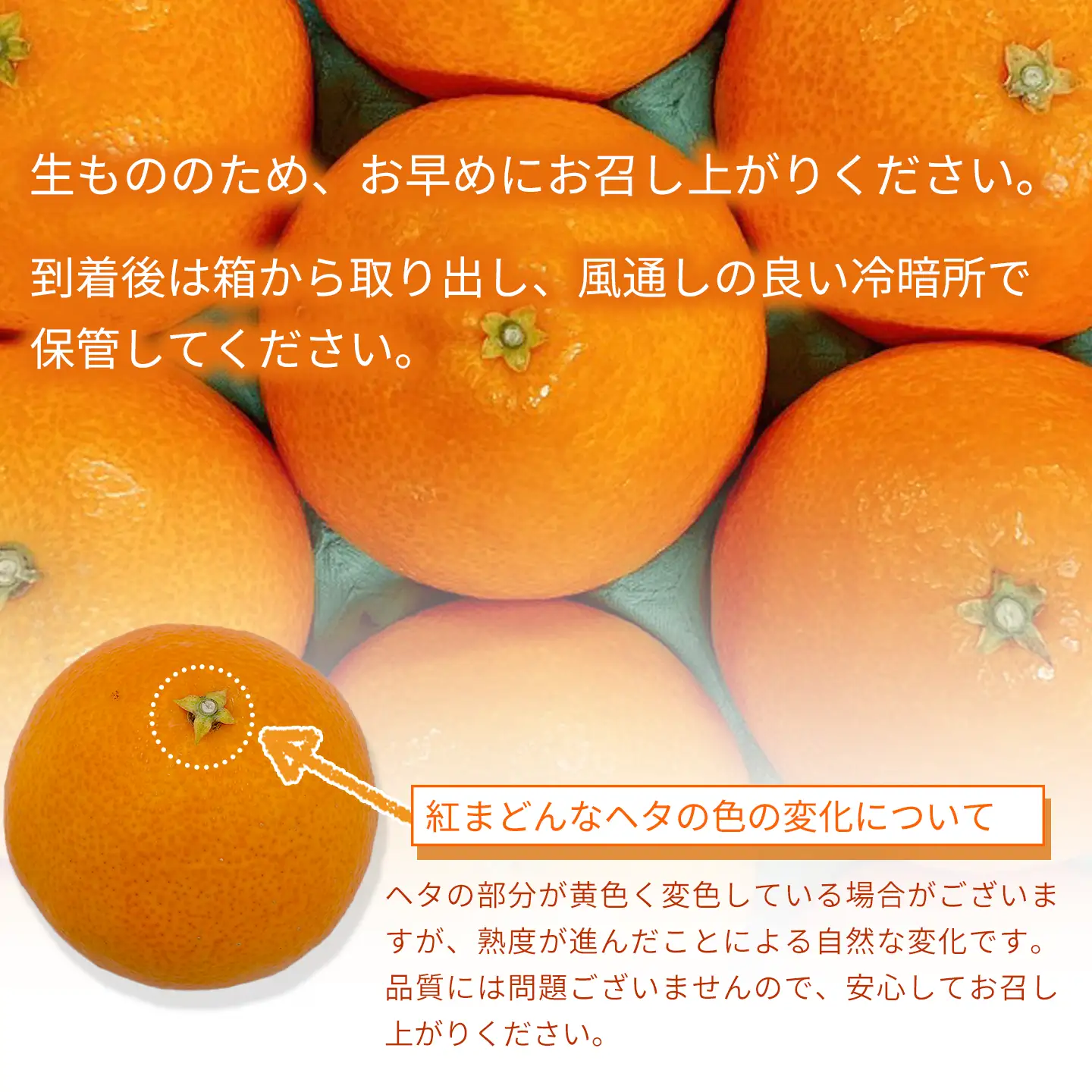 紅まどんな（秀品・5～6個入）｜柑橘 まどんな