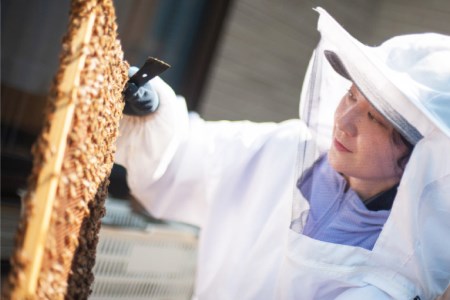 ＜季節の花とミツバチからの贈り物＞非加熱はちみつ300g 数量限定 はちみつ / 畑山養蜂 / 宮城県 加美町 44580505