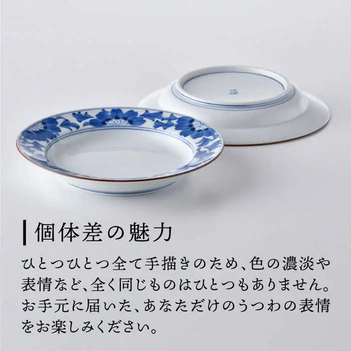 【波佐見焼】洋花紋 花柄 6寸皿 20cm プレート 2枚セット 食器 皿 【洸琳窯】 [GE53] 波佐見焼