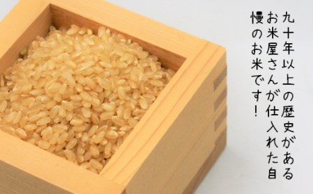 お米屋さんからお届けする「 夢つくし - 玄米 -」10kg [ABBW002]