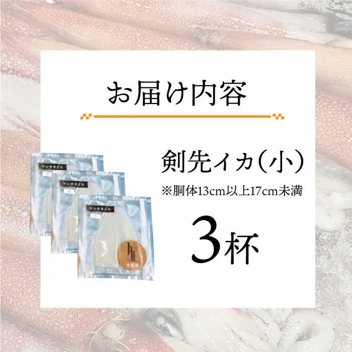 剣先イカ 刺身 （小） 3杯  [JEW002] イカ