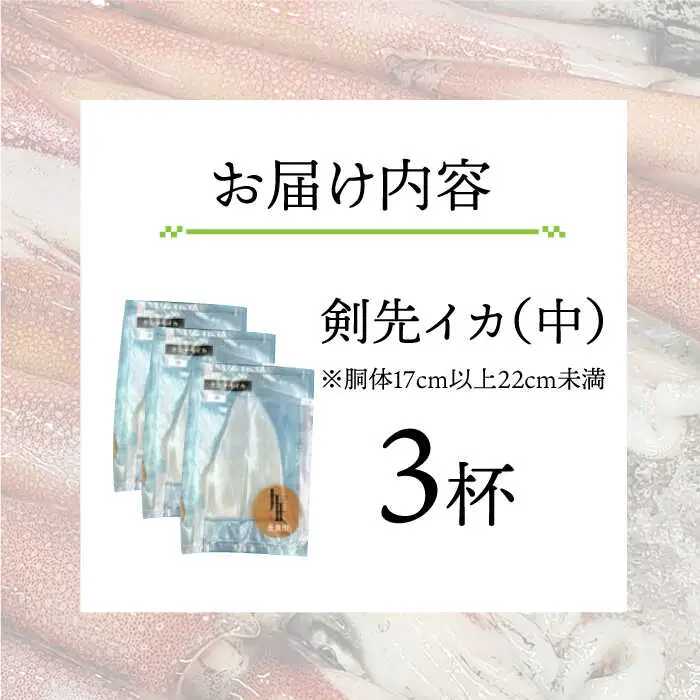 【ふるなびWEEK対象】剣先イカ 中 3杯  JEW003 いか 刺身