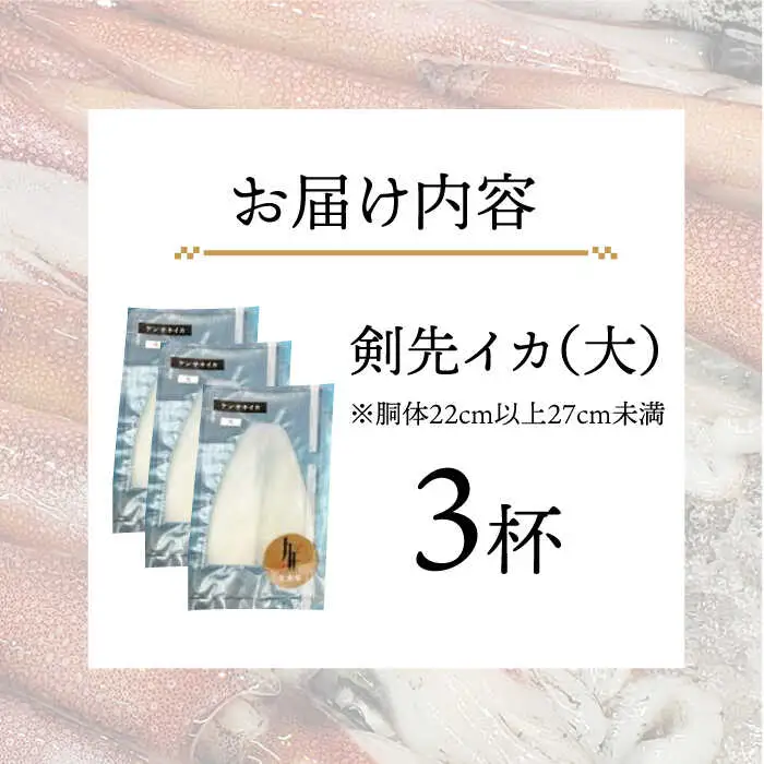 剣先イカ 刺身 （大） 3杯[JEW004] イカ