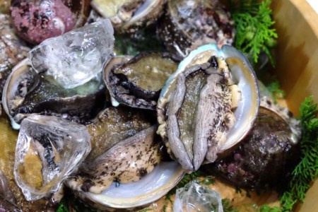 国産黒あわび使用 肝つきあわび煮貝 2～3個入(約160g)