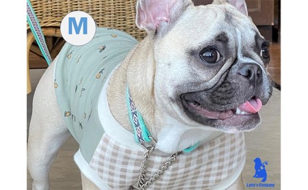 【中型犬用・Mサイズ】ハーフチョークカラーとリードのセット（ひし形＆ミント） ペット 用品 グッズ ビーグル 柴犬 ボーダーコリー フレンチブルドッグ 強い力 気管支 痛めない 抜けない 訓練 