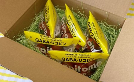 機能性表示食品 Hapitoma ハピトマ 糖度10（1kg）【配送不可：離島】 野菜 ベジタブル ダブル成分 GABA リコピン ストレス 緩和 LDLコレステロール 低下 