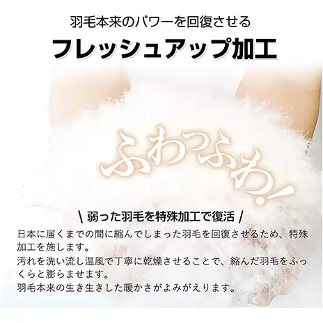 羽毛布団 掛け布団 シングル 立体キルト レッド 羽毛布団【ダウン90% 1.2kg】