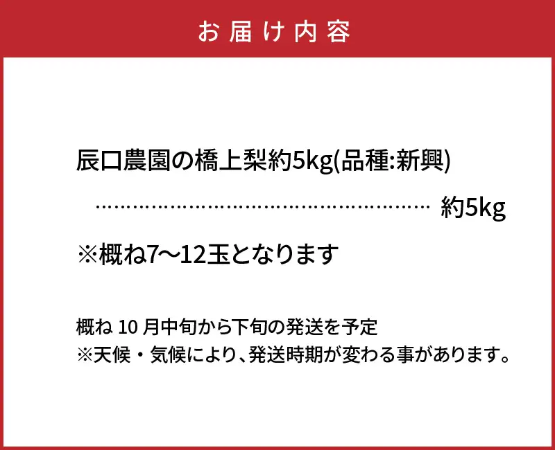 【先行予約】令和8年発送 /辰口農園の橋上梨約5kg(品種:新興)_1288R