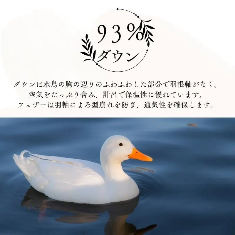 羽毛布団 二枚合わせ クイーン 超長綿100% オールシーズン 羽毛布団【合掛1.6kg 肌掛0.7kg】