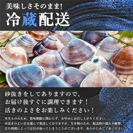 天然はまぐり約3kg (千葉県産)_はまぐり 千葉県産 天然 美味しい_【配送不可地域：離島・沖縄県】【1306039】