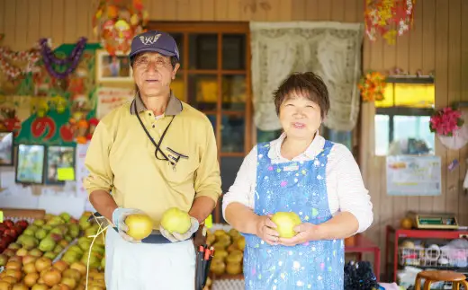 【数量限定・先行受付】糸屋果樹園の「中山なし」3kg 65P092001 /　梨 ナシ 和梨 幸水 豊水  果物 くだもの フルーツ 東北 秋田 大館 中山地区 中山なし 中山梨 なかやまなし【糸屋果樹園】
