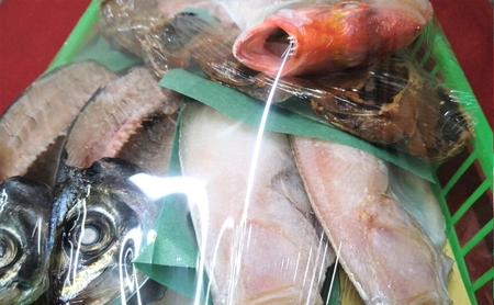 【ふるさと納税】海の京都 橋立やまいち 干物セット 贈答用 A 魚貝類 一夜干し 桜干し みりん干し 干物 ひもの 詰め合わせ セット おつまみ アジ カレイ レンコダイ  myz02 myz11 myz17
