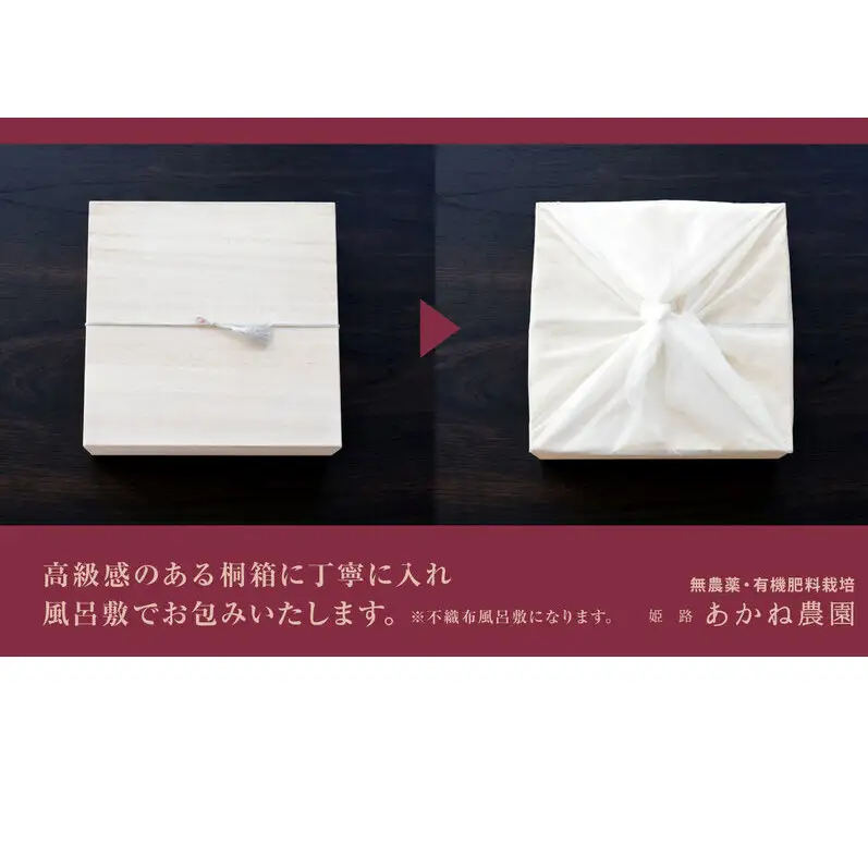 【栽培期間中 無農薬・有機肥料栽培】皮ごと食べれて甘い！あかね農園「 特級 生いちじく」9 個 桐箱入り