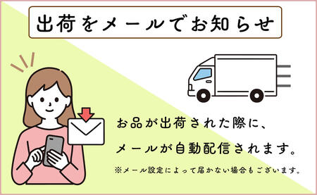 【最高級ランクの佐賀牛をひと口サイズで食べやすく！】佐賀牛 サイコロヒレステーキ 360g 期間限定返礼品【有田まちづくり公社】黒毛和牛 国産 和牛 牛肉 ヒレ サイコロステーキ 希少部位 18000円 za028