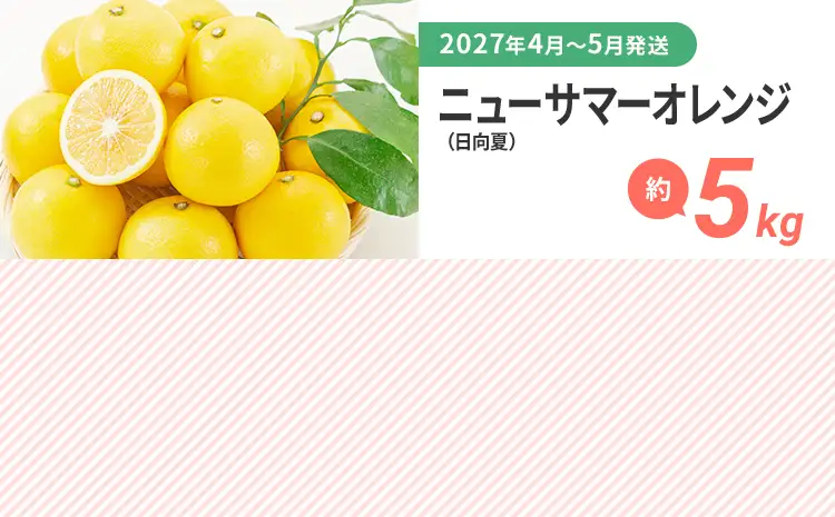 定期便 果物定期便B 3回発送 みかん 博多あまおう ニューサマーオレンジ 日向夏 定期発送 果物 くだもの フルーツ 柑橘 イチゴ 送料無料 【2027年1月～5月まで計3回お届け】