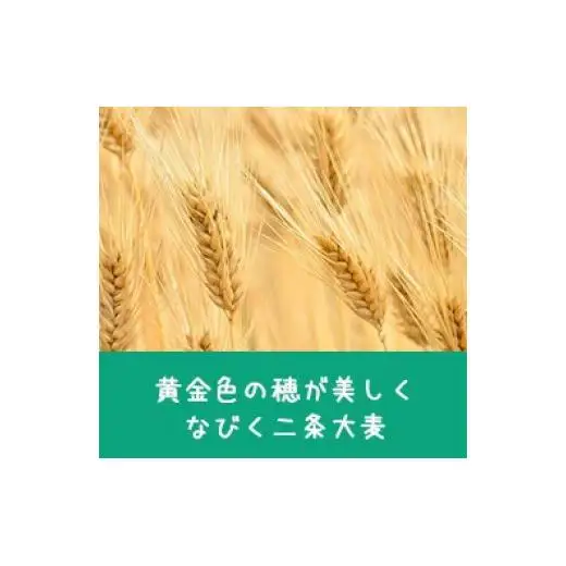 2Lペットボトル用スティックパック 麦茶 100本 (15g×25本入・4袋)