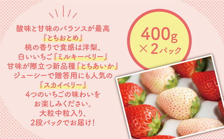 いちご 4種 食べ比べセット（とちおとめ、ミルキーベリー、とちあいか、スカイベリー）400g×2パック 800g ※2027年1月～発送
