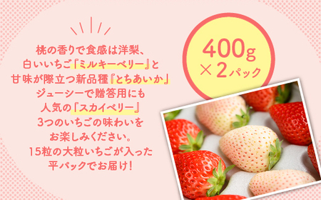 いちご 3種 食べ比べセット（ミルキーベリー、スカイベリー、とちあいか）400g×2パック 800g ※2027年1月～発送