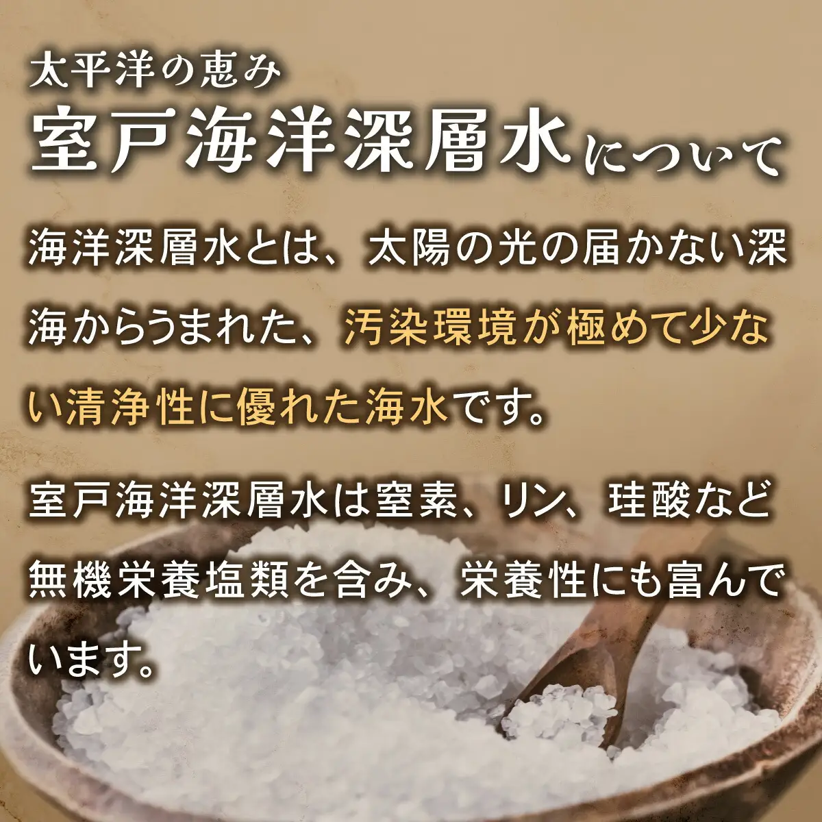 塩バウムクーヘン
