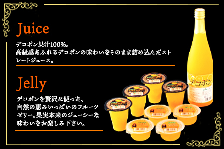 デコポンゼリー＆ジュースセット JAあしきた 