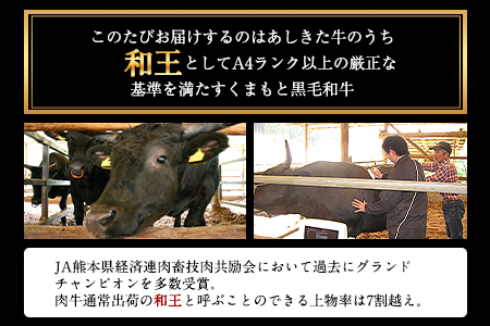 くまもと黒毛和牛 あしきた牛サーロインステーキ 熊本県産 200g×1枚《30日以内に出荷予定(土日祝除く)》熊本県 葦北郡 津奈木町 あしきた農業協同組合 JAあしきた あしきた牛 くまもと黒毛和牛 和王 黒毛和牛 肉