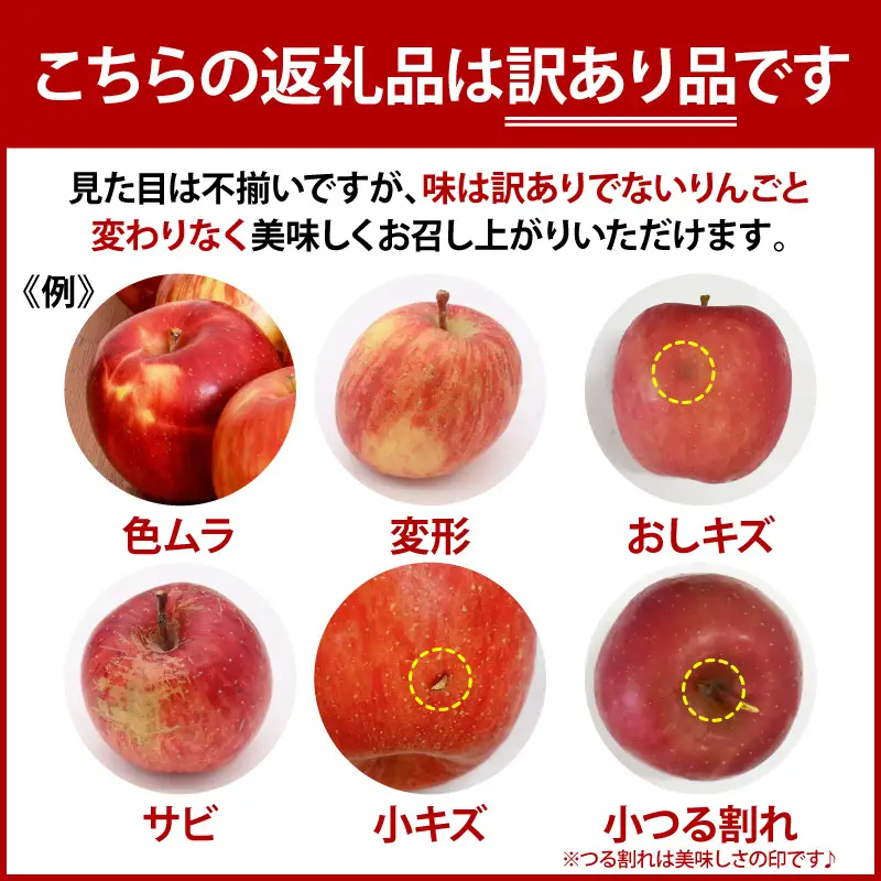 【2027年2月前半発送】【訳あり】 りんご 葉とらずサンふじ 約5kg 青森県産 サンふじ