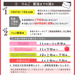 《先行予約》 令和8年産 りんご「サンふじ」秀品 3kg 山形県産【2026年12月上旬頃から2027年1月中旬頃発送予定】2026年産 山形産　012-B-MM027
