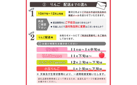 《先行予約》 令和8年産 りんご「サンふじ」秀品 5kg 山形県産【2026年12月上旬頃から2027年1月中旬頃発送予定】2026年産 山形産　018-B-MM028