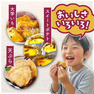 《 訳あり 》飯尾農園 紅はるか 約10kg 芋 いも さつまいも サツマイモ 鹿児島県産 国産 長島町産 べにはるか 熟成【飯尾農園】miio-7232