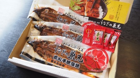 炭火手焼き 愛知県三河一色産うなぎ蒲焼き　3尾(1尾あたり116g～135g)・U025-19