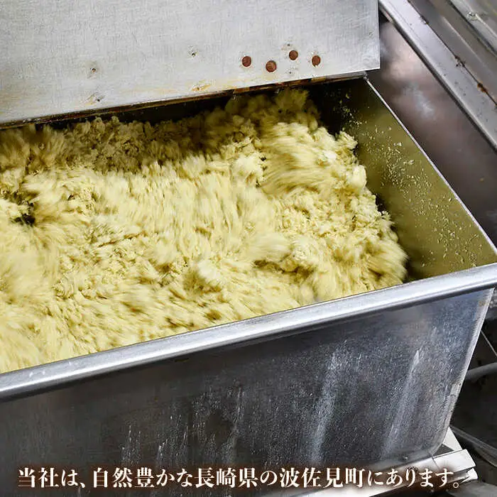 【長崎ちゃんぽん】ちゃんぽん 生麺 簡単 5食セット【水谷製麺所】 [IA04]
