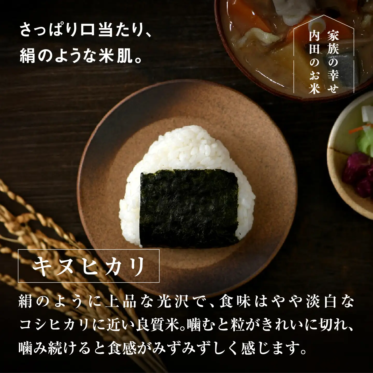 【令和7年産】福井県産 おしどり米 キヌヒカリ 5kg 白米 精米 