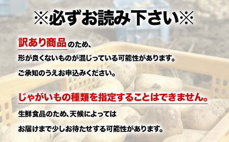 【先行予約】【訳あり】じゃがいも福袋20kg （2026年8月上旬～12月中旬まで順次お届け） 北海道森町産 野菜 ジャガイモ mr1-0145