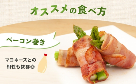 【2027年3月中旬以降発送予定】アスパラガス さぬきのめざめ 春芽 約1kg 香川県 丸亀市 アスパラ