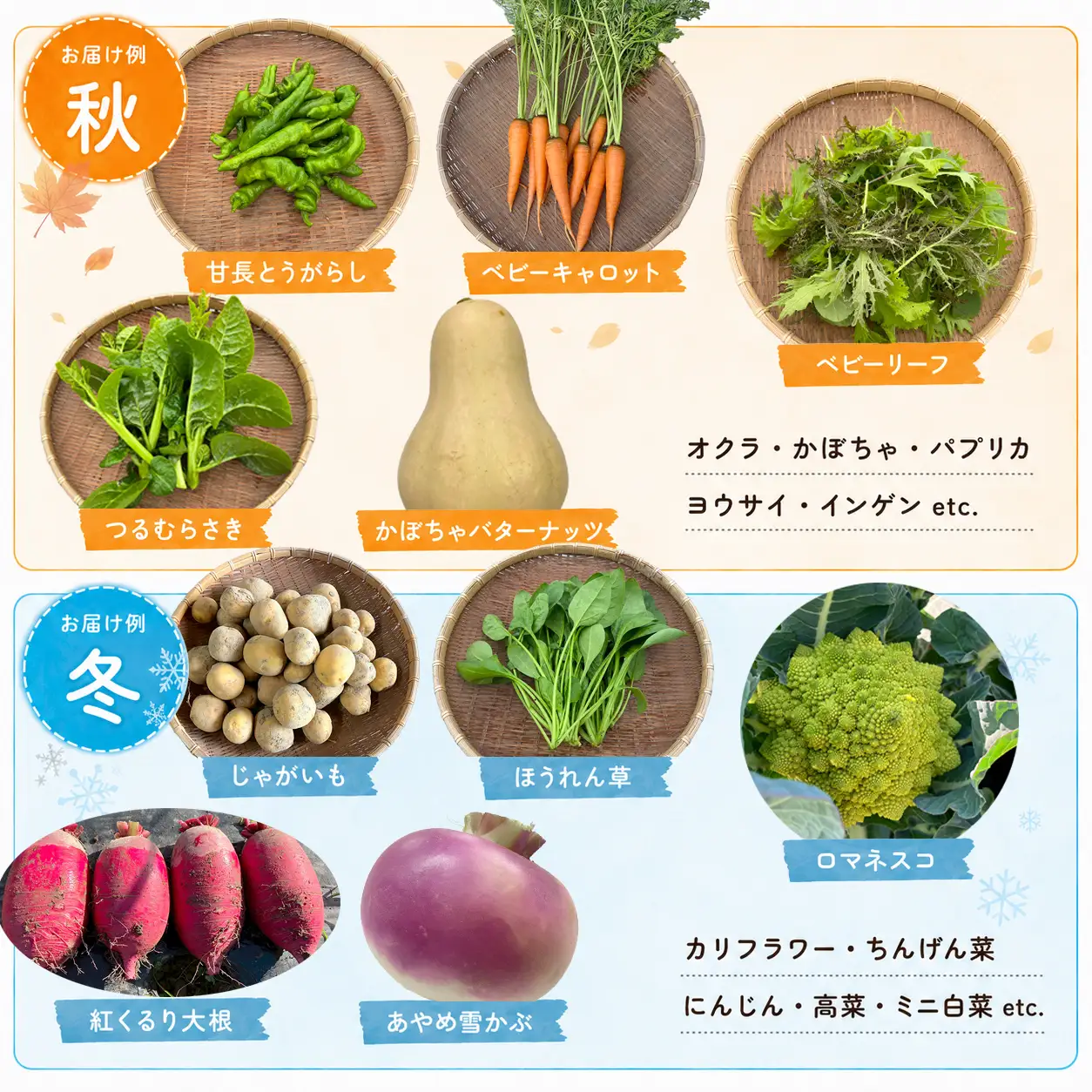 【定期便2回】 有機野菜 オーガニック野菜