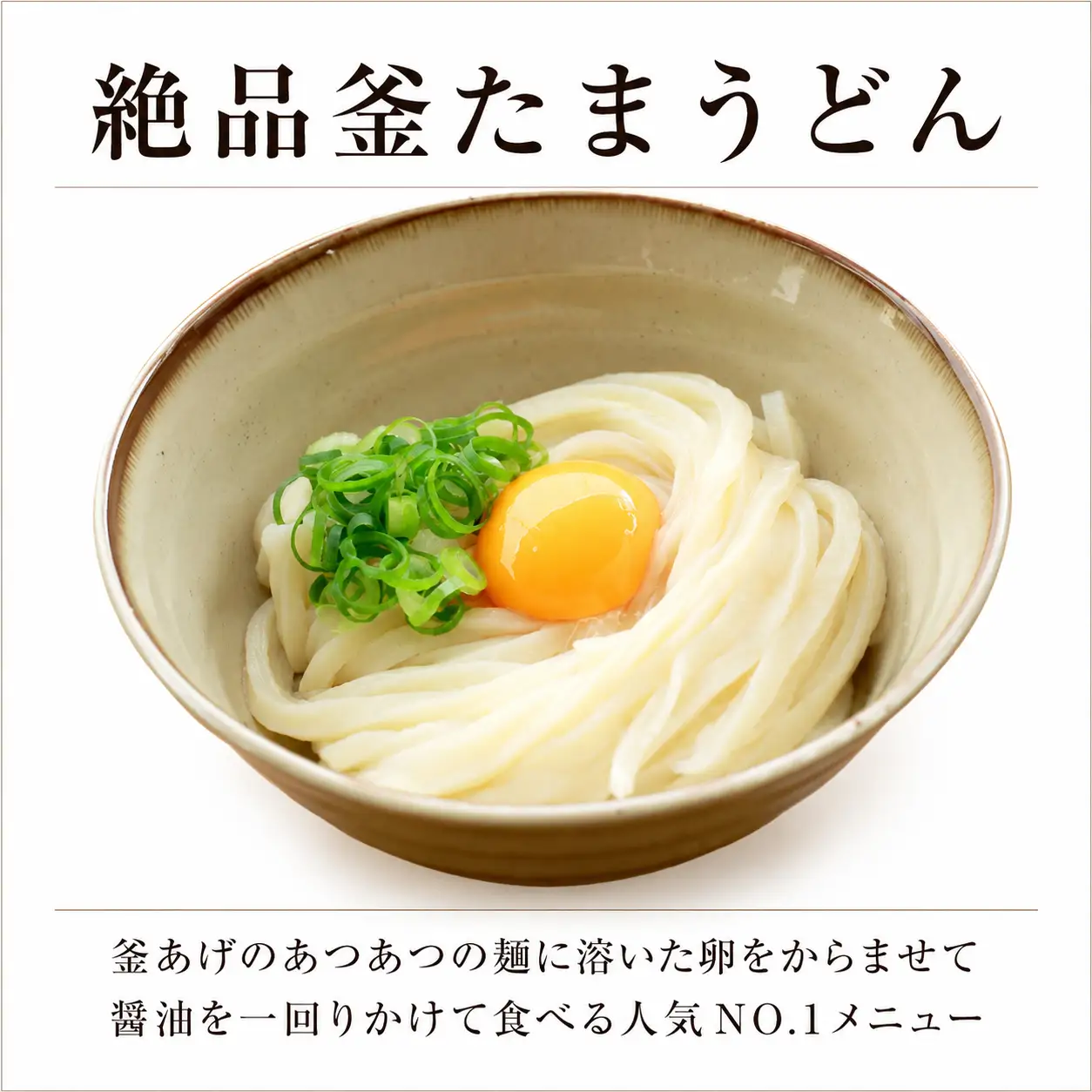 うどん 12食 さぬきうどん 半生 なかむら 人気 