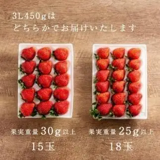 【2027年1月～4月出荷分予約販売】武下さんちの「完熟あまおう」 3Lサイズ 450g  赤いVIPボックスに入れて！