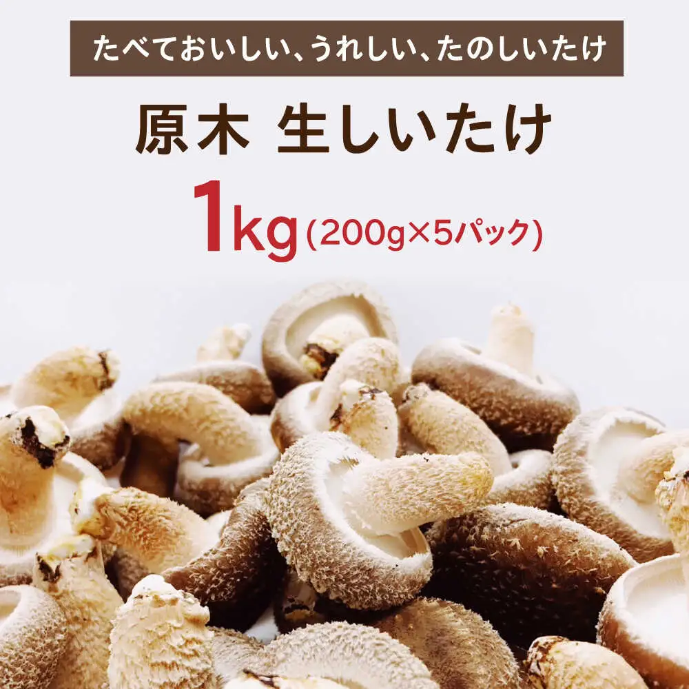 【2026年9月以降発送】 原木 生しいたけ 1kg/200g×5 椎茸 シイタケ 北海道 [AXAI001]