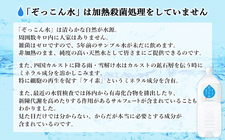 四国カルスト天然水ぞっこん 500ml(24本入り)×4ケース 計96本 NZS0011