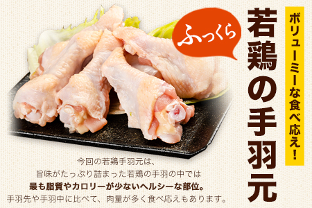 手羽元 若鶏 4kg 熊本産 | 鶏肉  手羽元