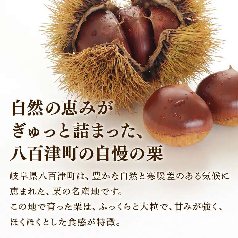 秋の自信作！銘菓「栗きんとん」6個入（藤乃屋）