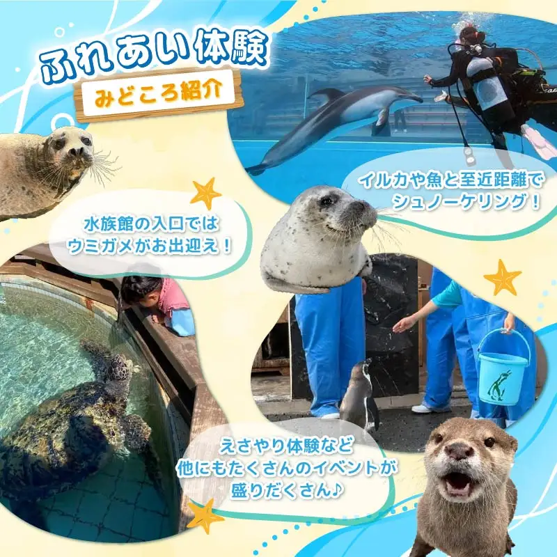 【下田海中水族館】ペア入場券 [水族館 イルカ]