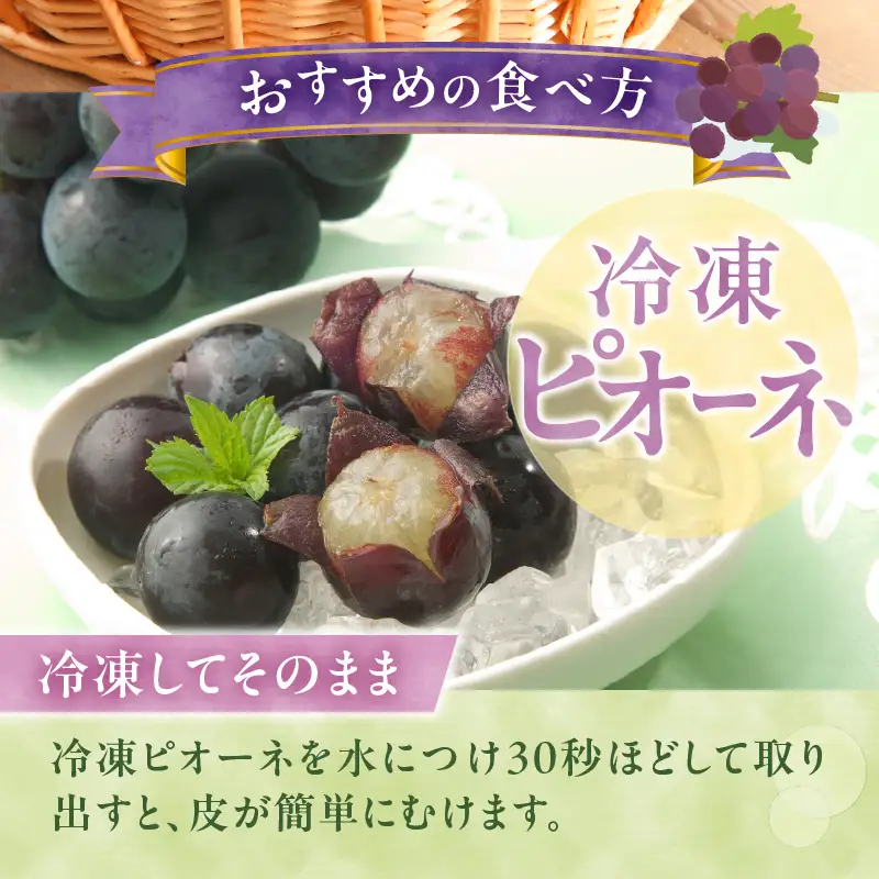 【山梨県山梨市産】ピオーネ 約2kg 種なしピオーネ ぶどう