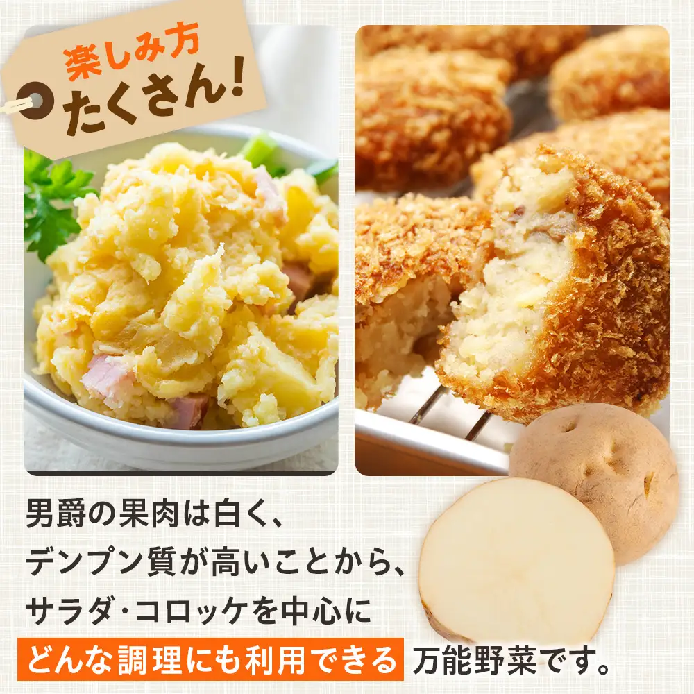 【R8年産先行受付 じゃがいも 10kg 特別栽培（男爵） | ジャガイモ 芋 男爵 馬鈴薯 大容量 新鮮 野菜 煮物 カレー シチュー ポテト 保存 特産 産地直送 北海道 津別町 送料無料