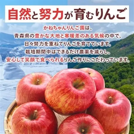 【訳あり】青森県産りんご「サンふじ家庭用」約5kg　産地直送!_果物・フルーツ りんご  リンゴ 林檎_【配送不可地域：離島】【1321109】