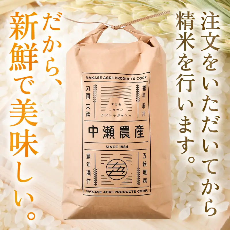令和8年産・新米 コシヒカリ 10kg（玄米） [B-11302_02]