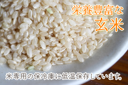 【先行予約】【令和8年産・新米】【12ヶ月定期便】 コシヒカリ5kg×12回 合計60kg（玄米）【2026年10月より順次発送予定】 [L-11303_02]